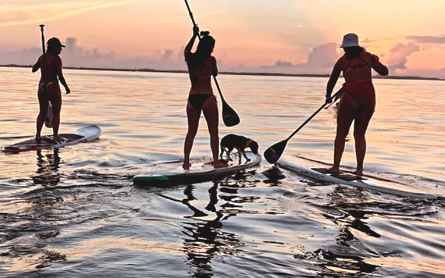 Strandvilla Surfers Sunrise Haven