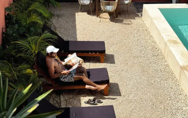 Casa Ingo Sisal