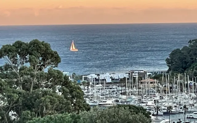 Nice 2-rm flat seaview Cavalaire