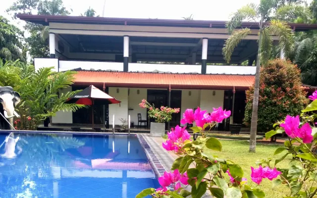 gay friendly villa's here for make you comfortable with a pool