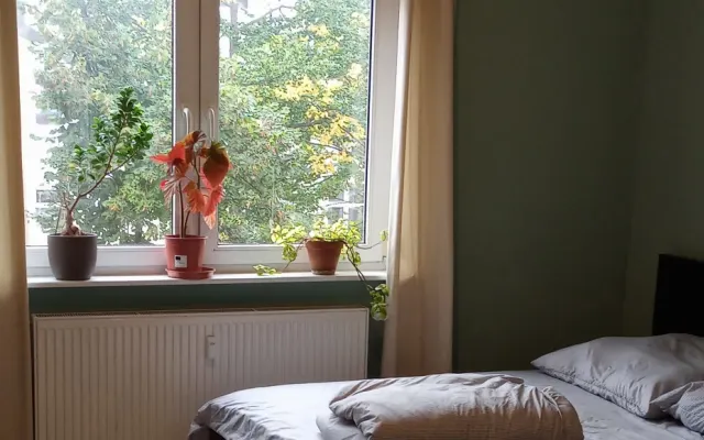 Big Bright Room to rent