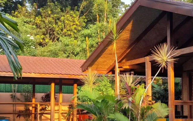 Ecolodge A/C avec piscine dans un jardin tropical