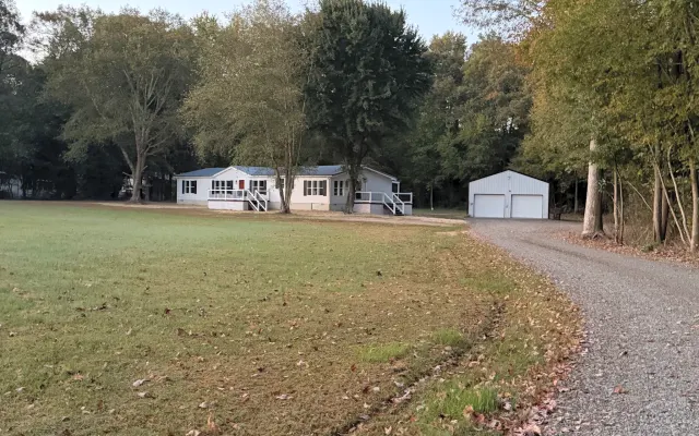 Bienvenue dans le champ de maïs !