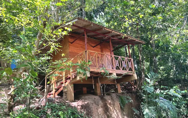 Casa Gioia - Accoglienti cabine e camere nella giungla