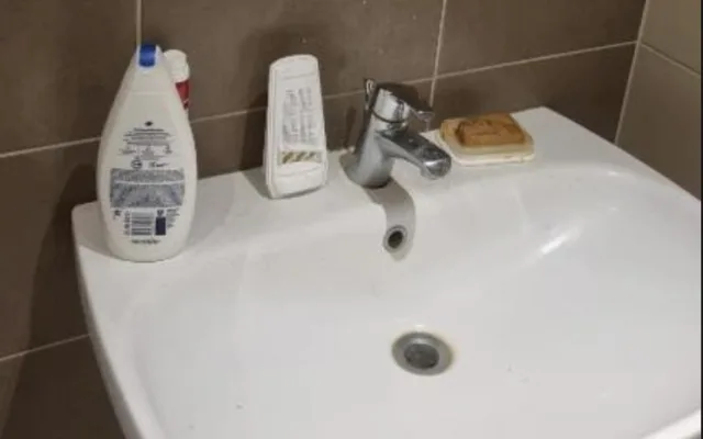 "Floresta e mar só para si"