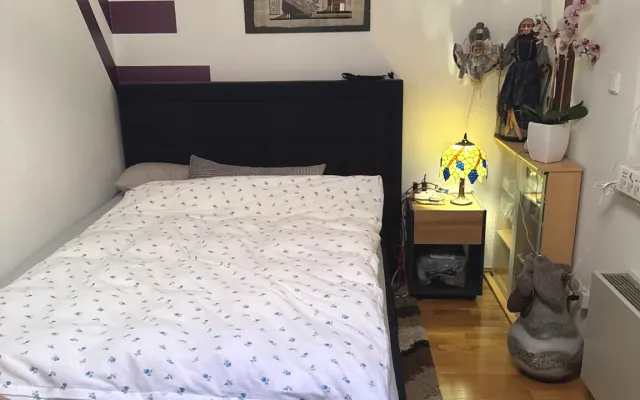 Rent a nice room in my apartment