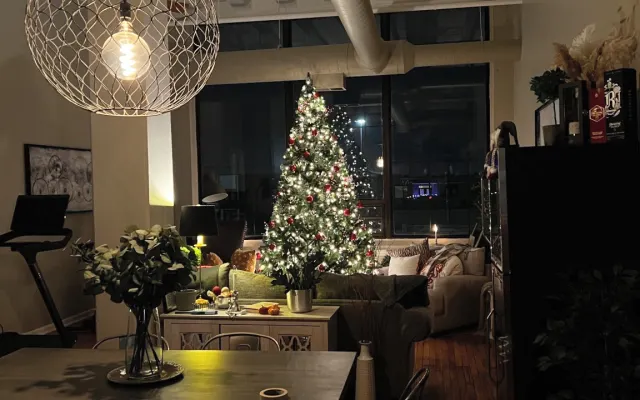 Gorgeous condo in downtown Indy, close to everything popular