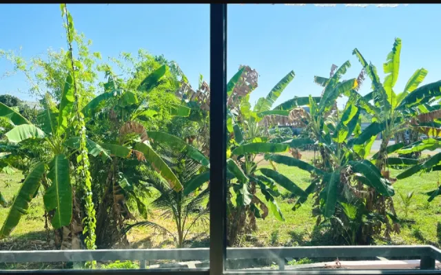 Banana tree view studio apartment in the heart of Phuket, with bathtub