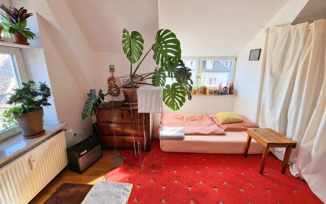 habitación luminosa y acogedora en piso compartido céntrico con mucha...