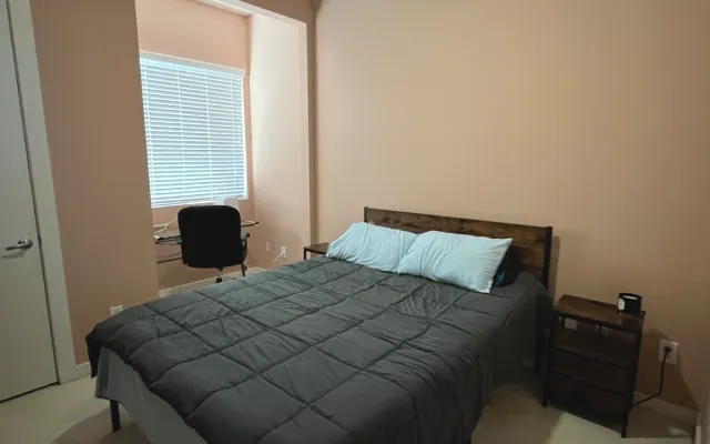 Private Bedroom In Central Houston
