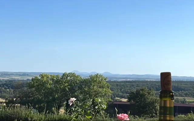 New house in the countryside, calm and nature.