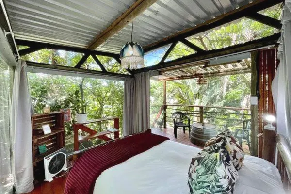 Paraíso da Selva