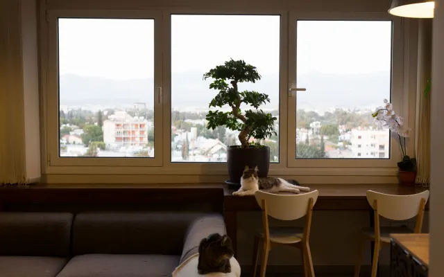 Attico con vista, Nicosia Centro