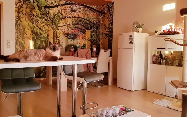 Köln Merkenich. Unterkunft mit Balkon