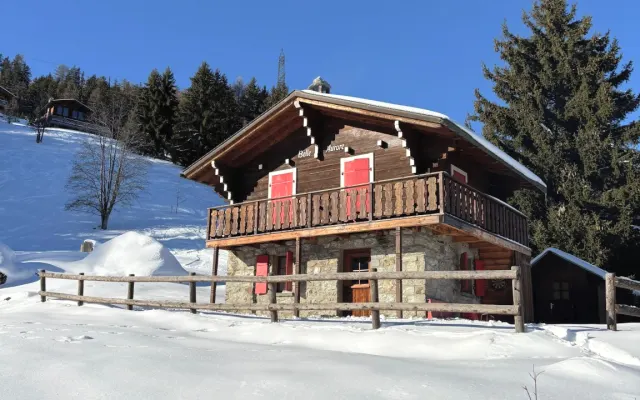 Small chalet on the slopes, 5 minutes' walk from the resort.
