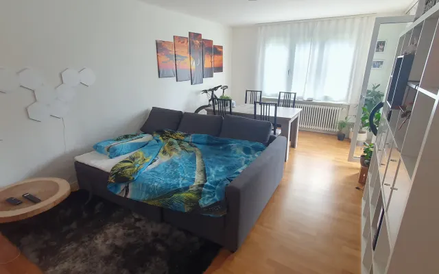 Chambre confortable à Zurich Altstetten