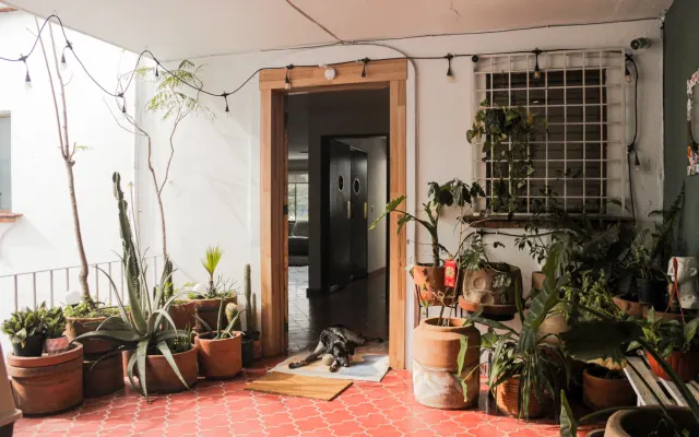 ********tes Zuhause in Guadalajara