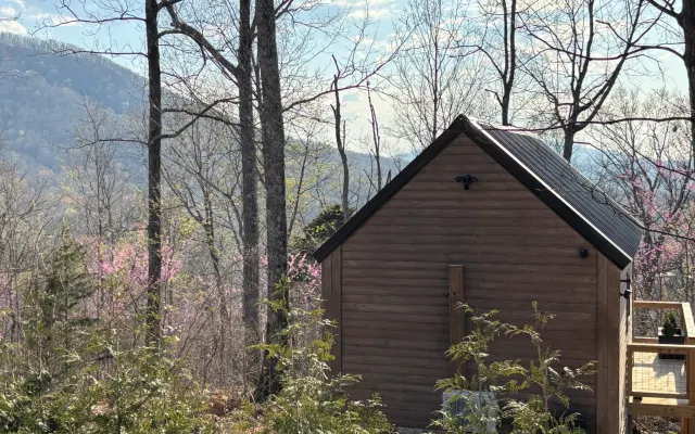Bear Top Junior Small Cabin