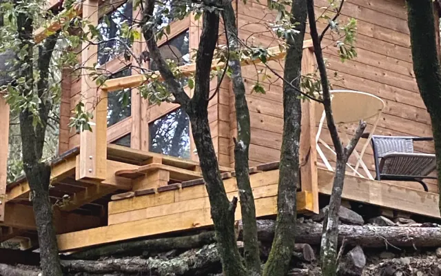 Hütte in Wald und Gebirge