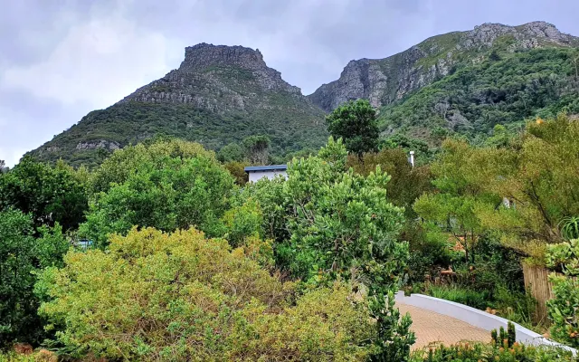 La Cabina Verde
in
Tenuta Aan de Kasteelbergen