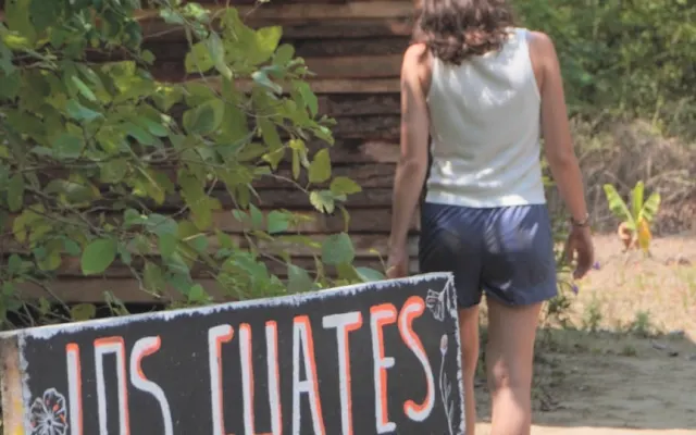 Planta - Los Cuates Cabin