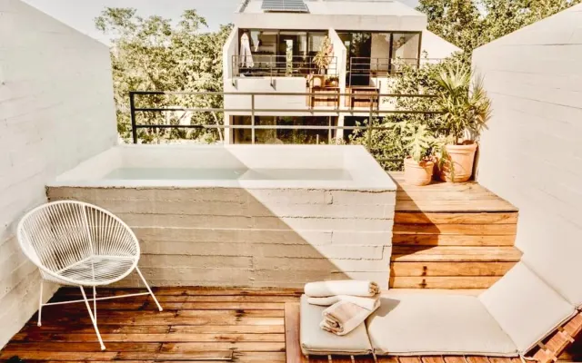 Remodeled 3 story/3 bath Penthouse with rooftop plunge pool