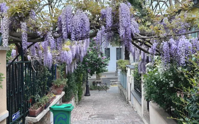 Quaint Mouzaïa