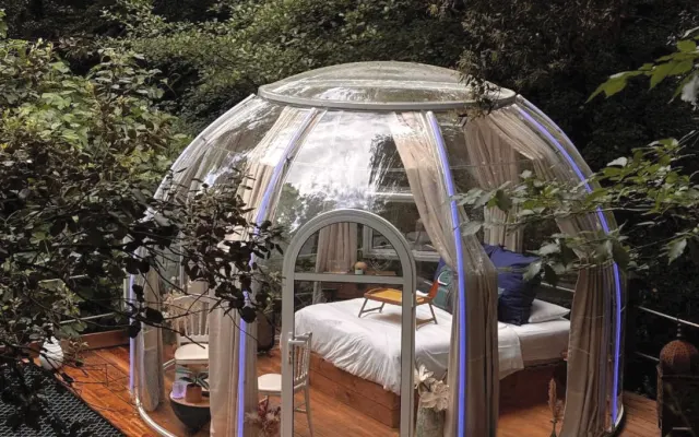 La Bulle vi trasporta in un mondo magico