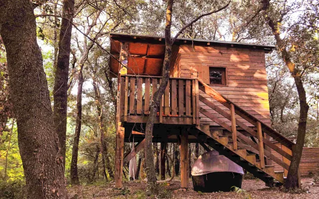 La Cabane A perched nest where dreams soar between heaven and earth