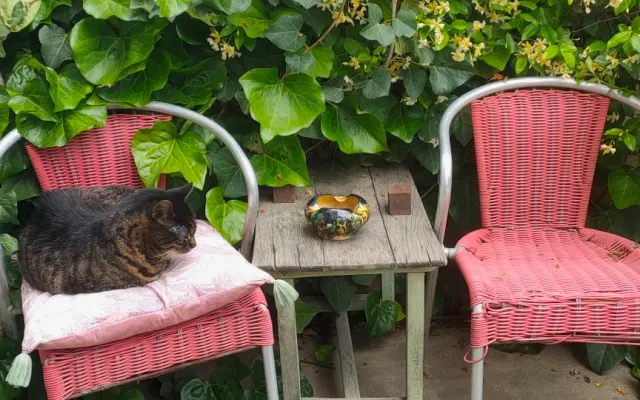 Vermiete Einzelzimmer in ruhiger Lage mit kleinem Balkon.
Einzelbett