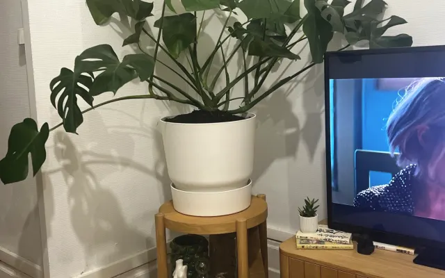 quiet apartment