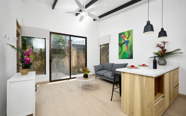 Brad new one-bedroom near Tamarindo