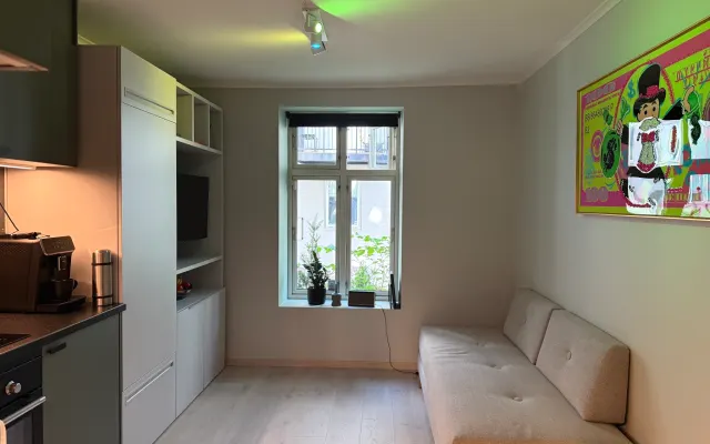 Funktionelles, ruhiges und gemütliches Studio im Herzen von Oslo