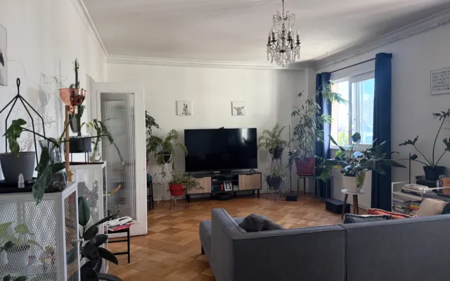Gran habitación en departamento en barrio Bellas Artes