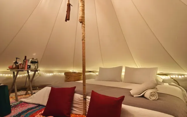 Glamping dans la forêt andine. Immersion dans la nature