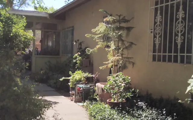 Organic Urban Garden
Southwest BOHO Chic
Excellent Room
1-2 Adults