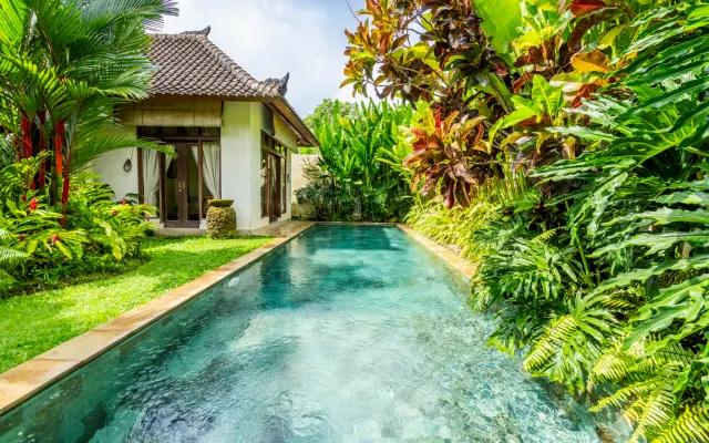 Villa Exotica - Villa tropicale de 3 chambres avec piscine de 12 m et...