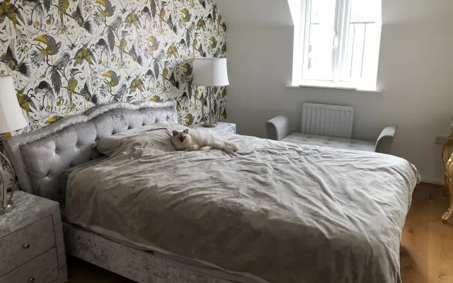 Room in the outskirts of Norwich