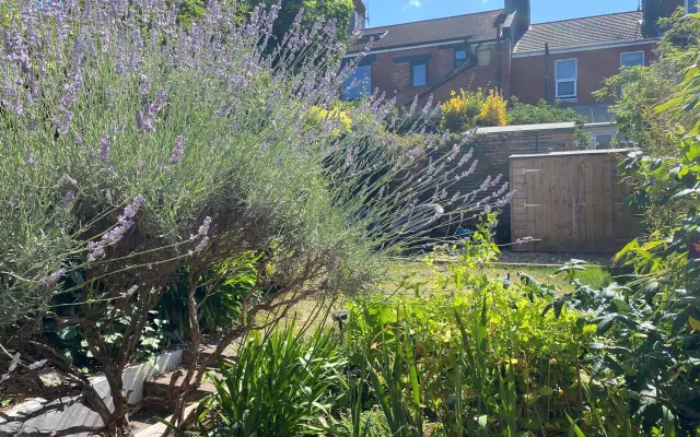 Private bedroom in Edwardian terraced house close to town