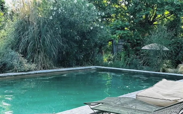 Self-contained studio in mazet with swimming pool in Camargue.