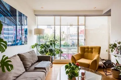 Chambre à roma norte CDMX, meilleurs endroits à mexico city