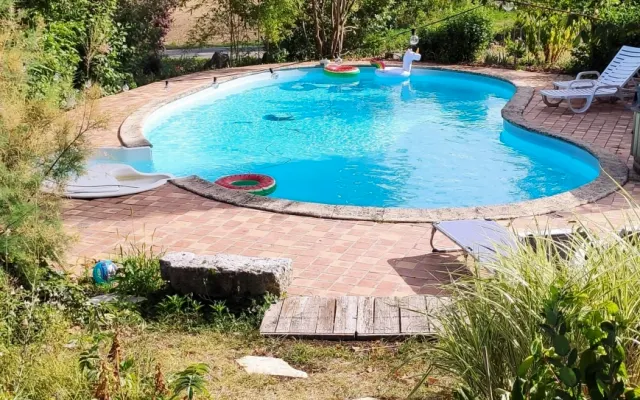 La tante bearbear - natureza e piscina