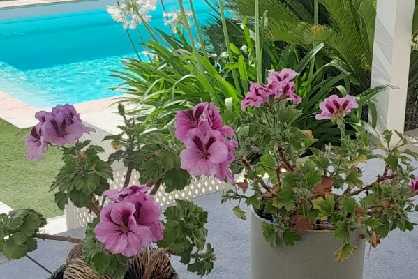  affittare una camera naturista vicino a Narbonne e alle spiagge