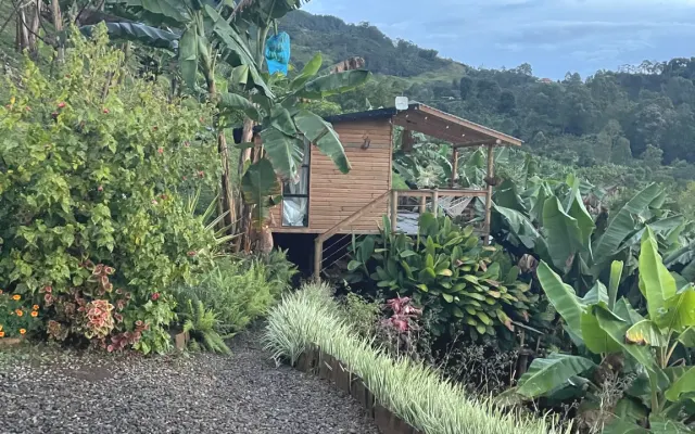 Cabin in the mountains La gloria #1