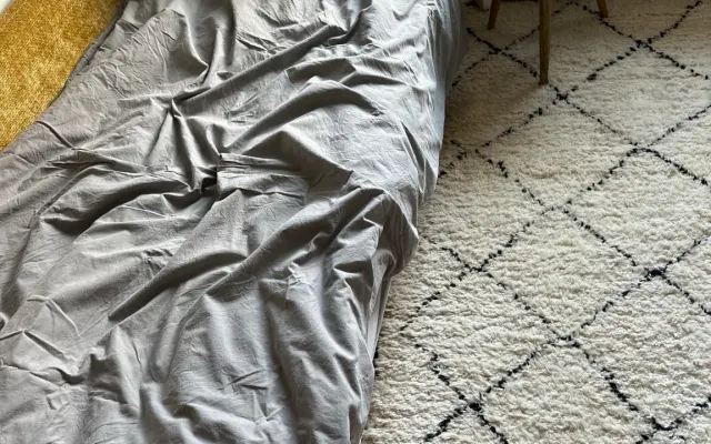 Chambre d'hôte dans un appartement du début du siècle dans le centre...