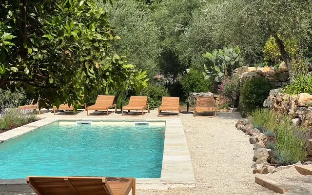 The content olive grove