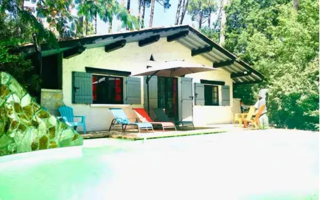 Maison et piscine nichée au cœur des pins sur le lac de Lacanau