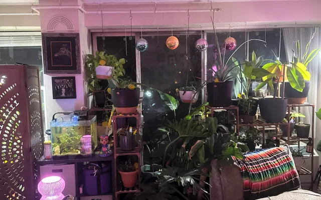 An oasis away from (your) home!