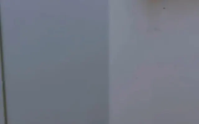 Nur alleinstehende...

Unterteilung.........