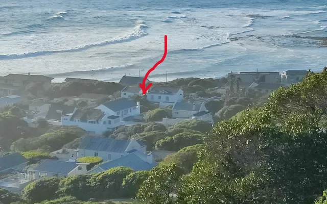 Milkwood & Sea Studio